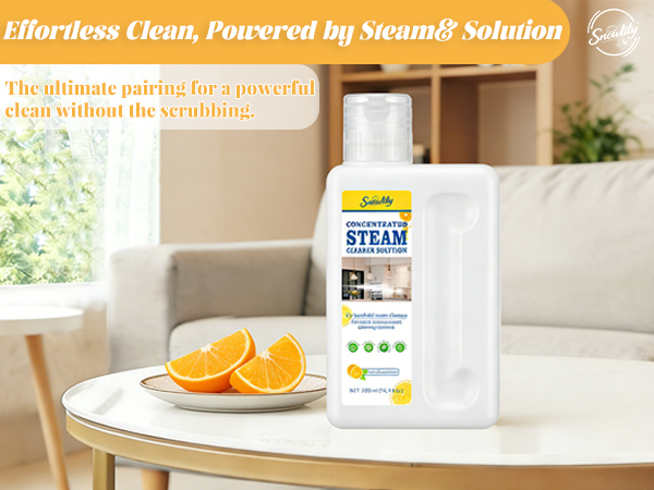 steam cleaner solution