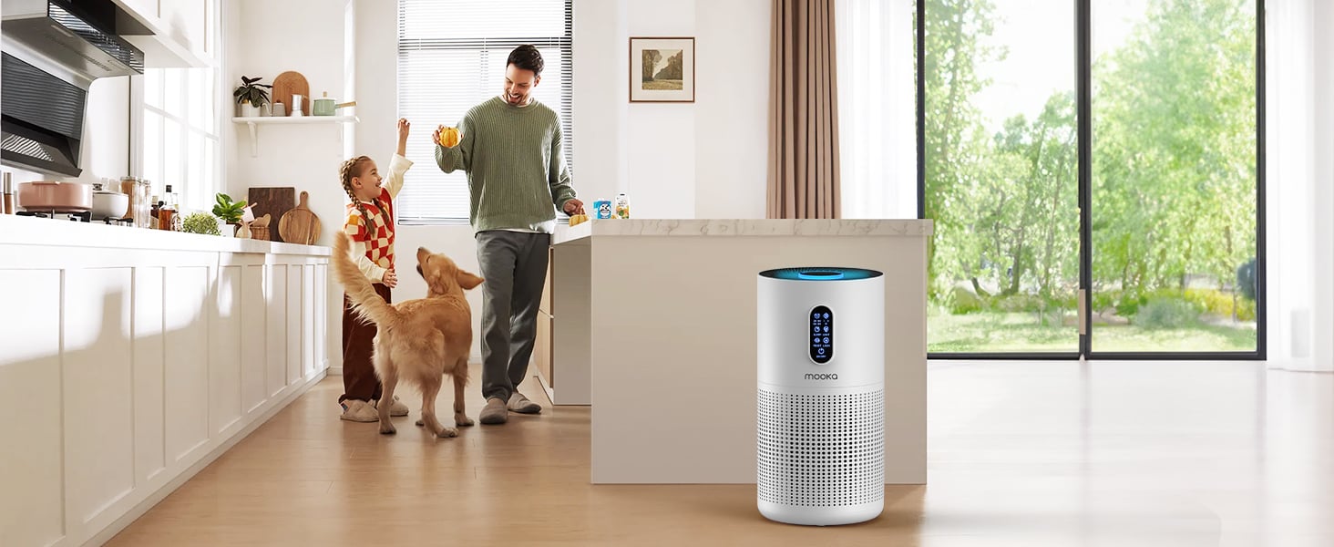 air purifier for kitchen