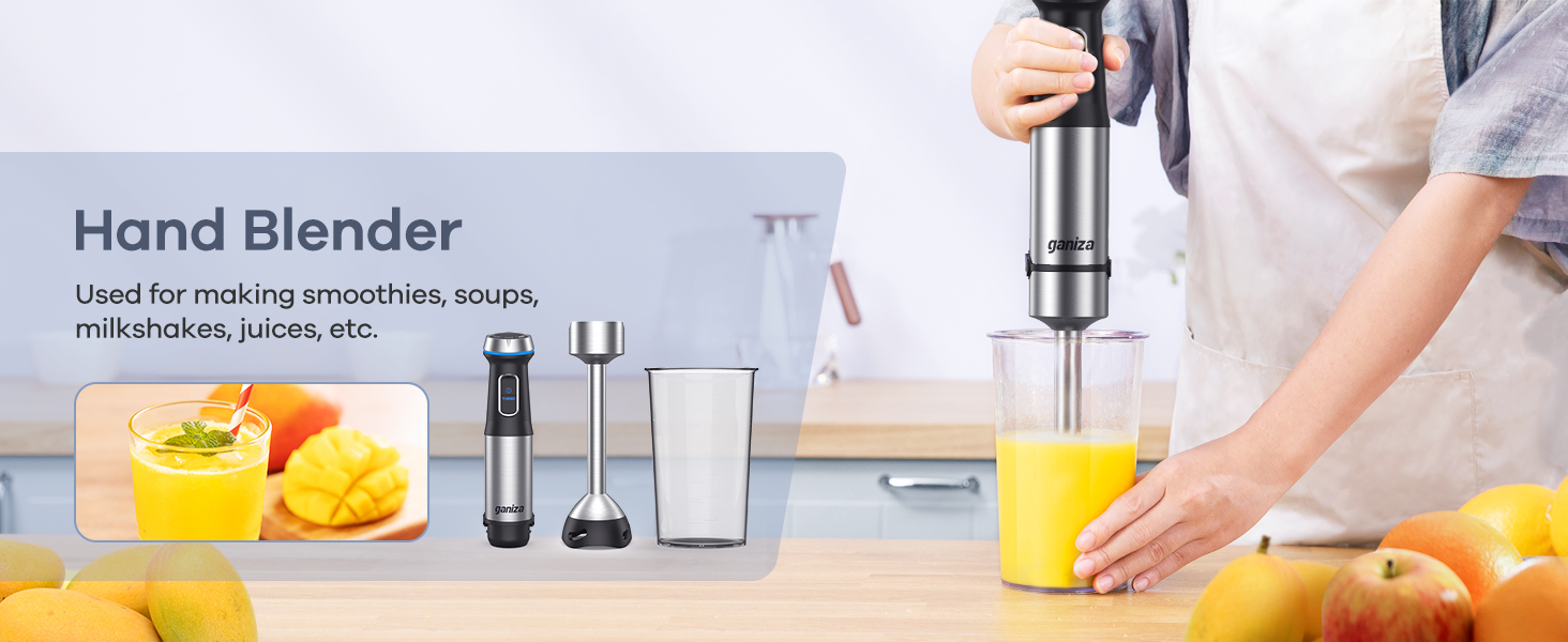 immersion blender handheld