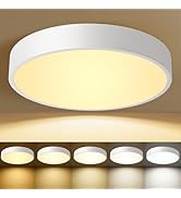HLinghtnet White Flush Mount Ceiling Light 12 inch LED Dimmable Ceiling Lamp 24W 5CCT(2700K-5000K...