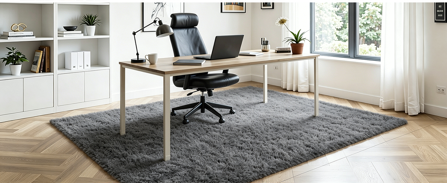 Area Rugs for Living Room