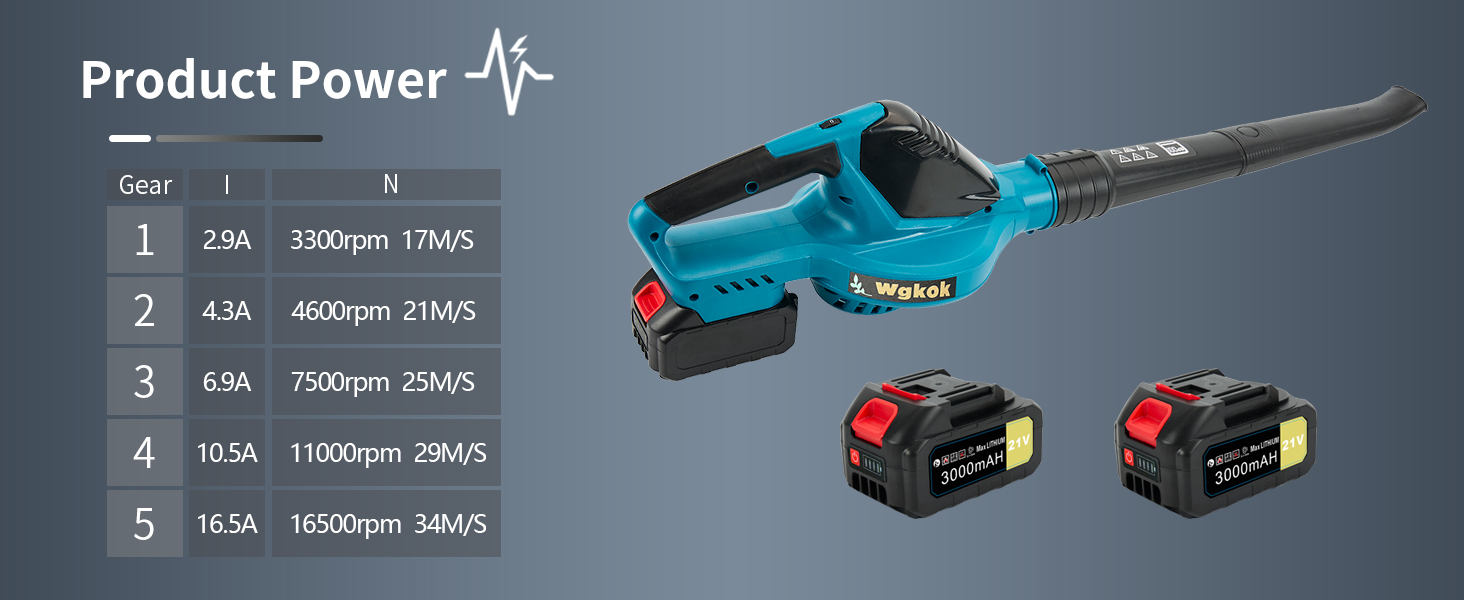 Leaf Blower Cordless