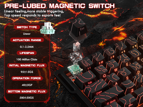 Magnetic Switch