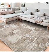 Area Rug Living Room Rugs 8x10 Washable: Indoor Soft Low Shaggy Fluffy Pile Carpet Abstract Decor...