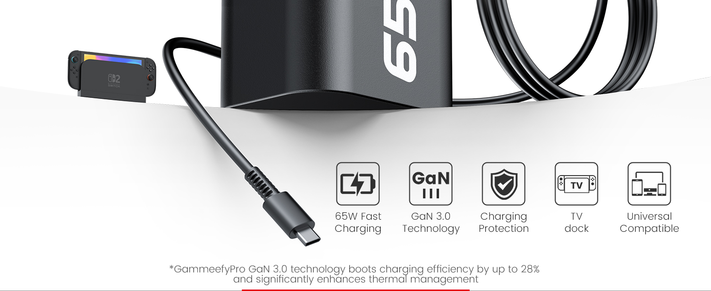 nintendo switch charger