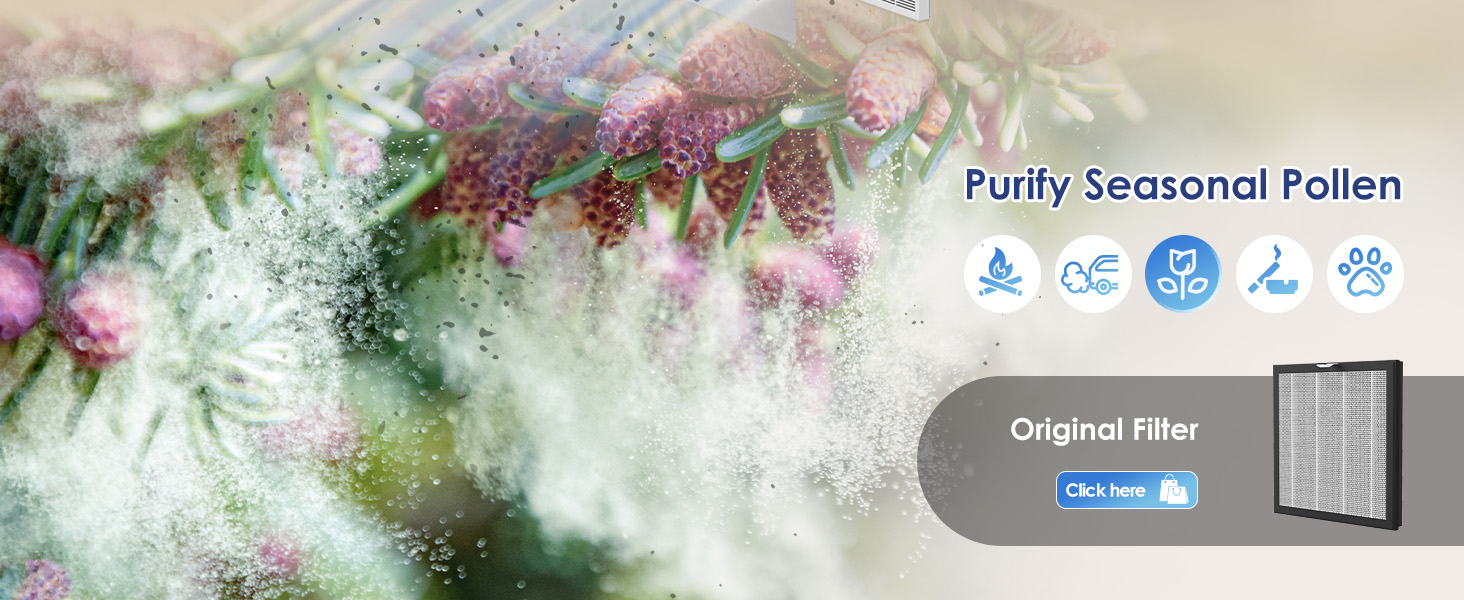 Air Purifiers for Home Large Room