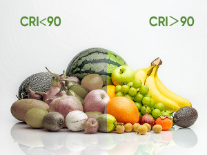 ceiling lightsled ceiling light