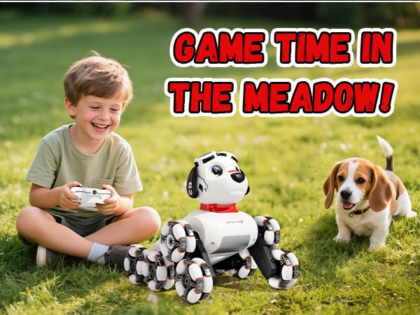 toys for ages 8-13 boys