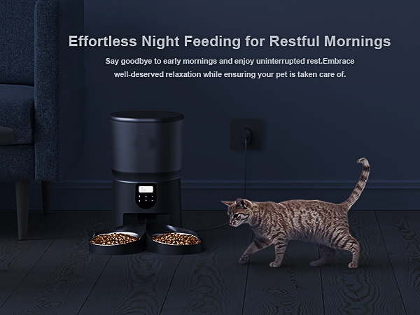 cat feeder