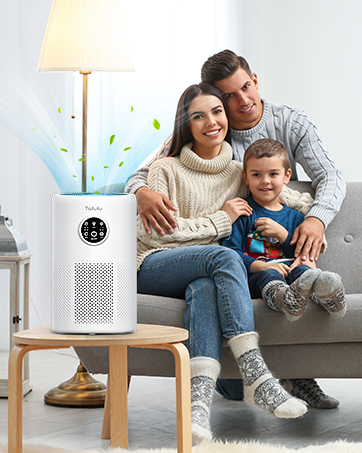 Air Purifier 10