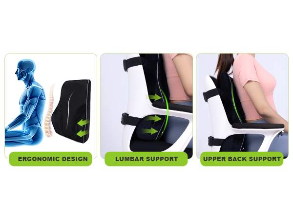 back rest office chair