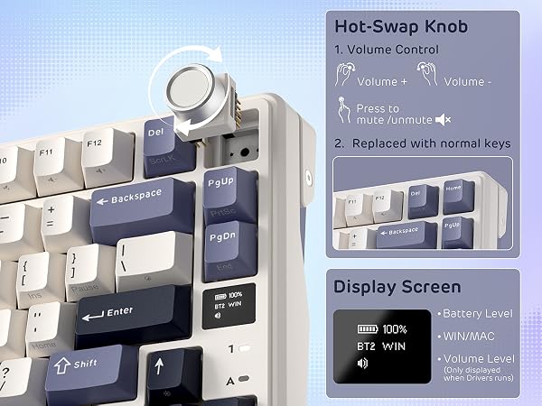 Knob &amp; Display Screen