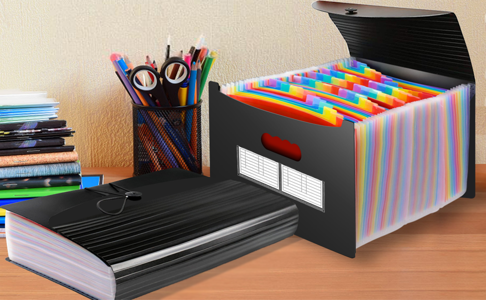 Accordion File Organizer