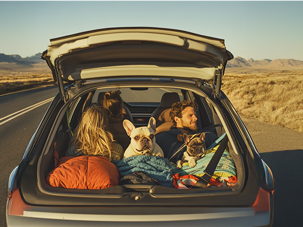 sleeping bag for traveling