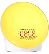 iEasy Wake up Light Sunrise Alarm Clock Sleep Aid Sunrise Sunset Simulation Dual Alarms FM Radio ...