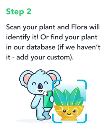 plant care; flora; florasense; spray mist bottle; water plants; plant mister; plant misters inside
