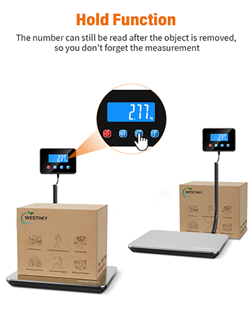 Digital Postal Scale