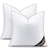OTOSTAR 20x20 Down Alternative Fill Throw Pillow Inserts Set of 2, Soft Fluffy Synthetic Down Dec...