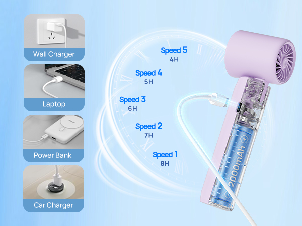 lash fan