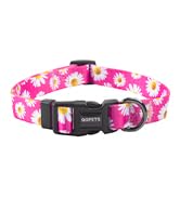 floral pink dog collar
