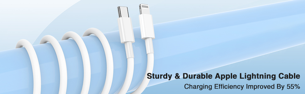 USB C to Lightning Cable