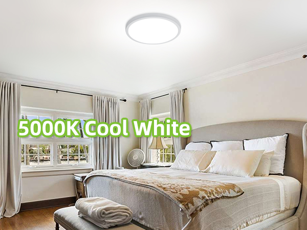 LED Round Flat Panel Light