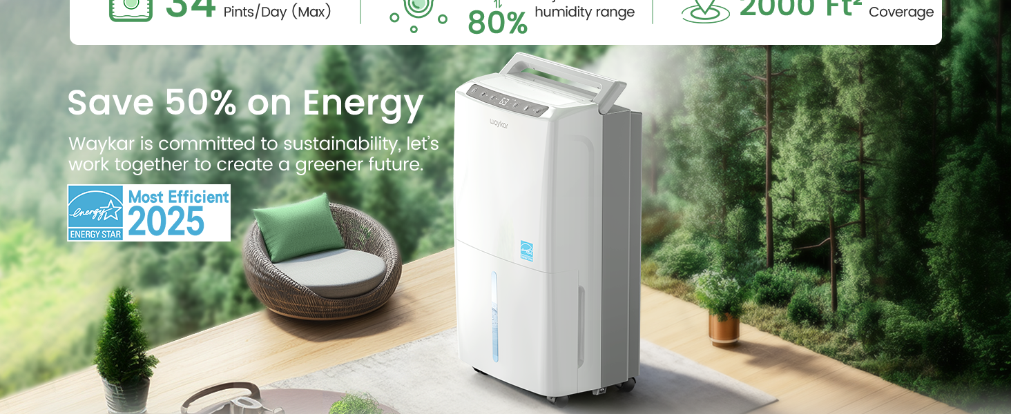 dehumidifier for basement