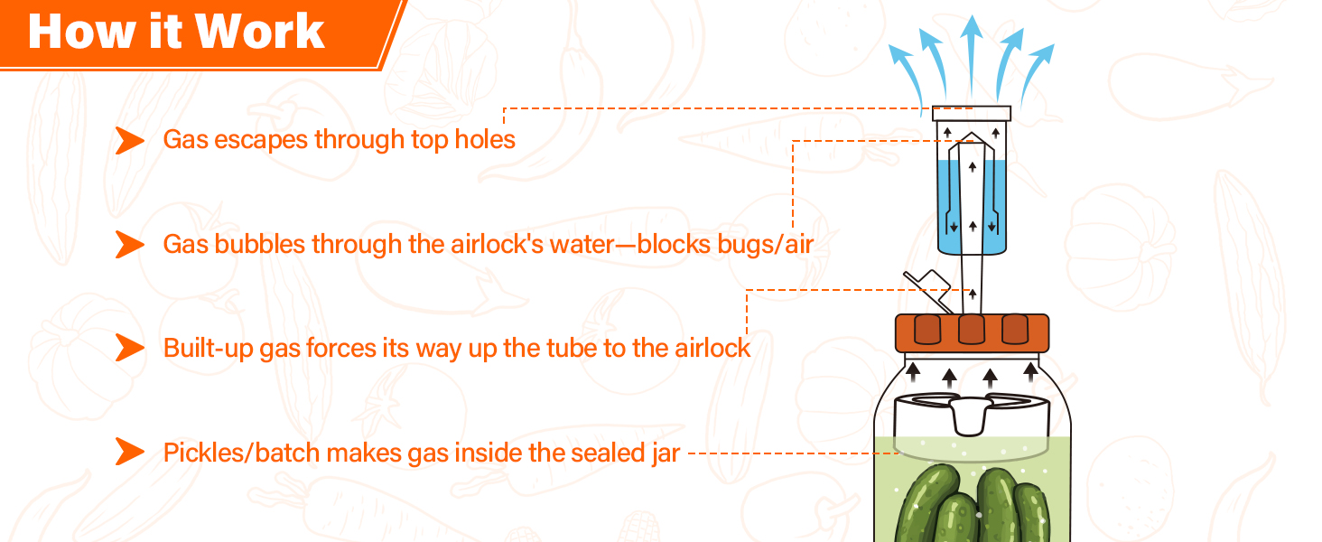 Fermentation airlock