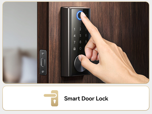 Rechargeable AA Lithium Battery