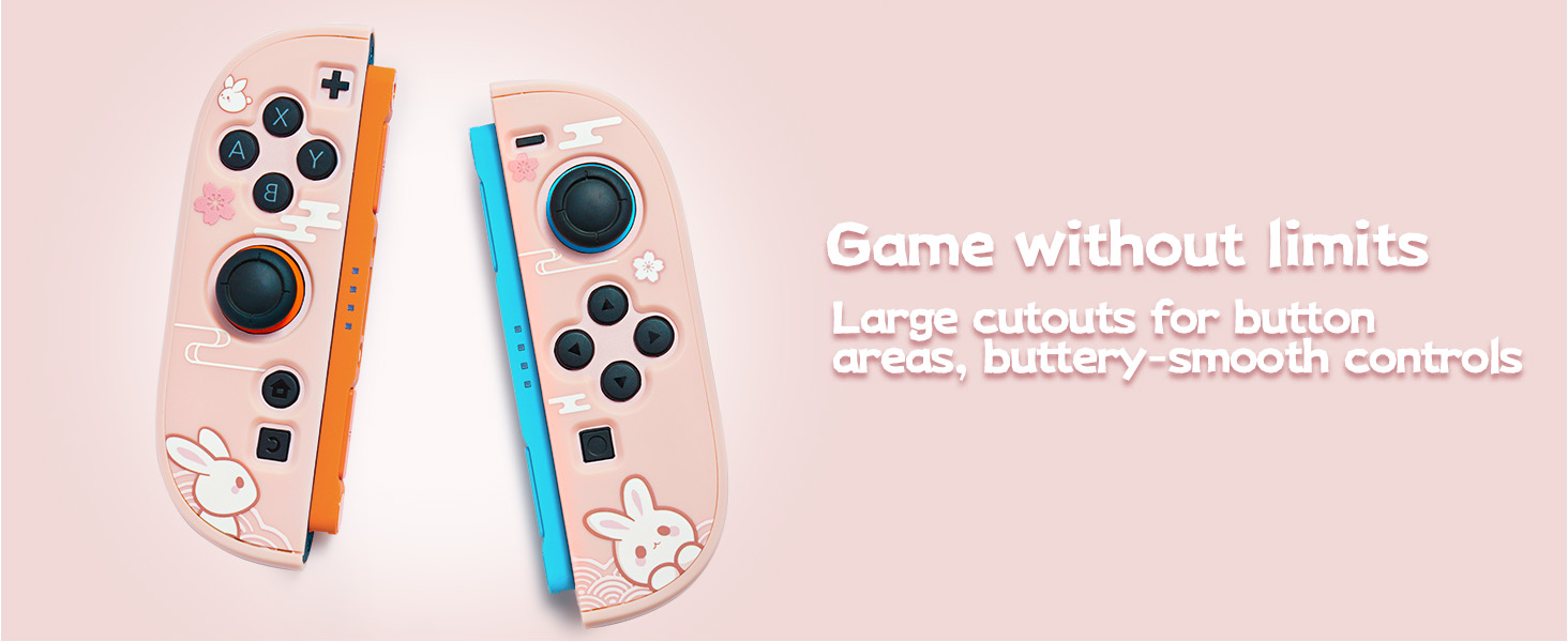 Switch 2 Protective case