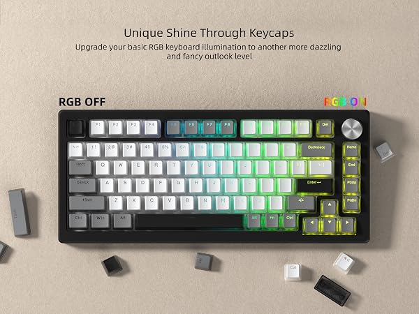 PBT Shine Through Keycaps for mechanical keyboard, Pudding Keycaps 60% 75% 100% Keyboard