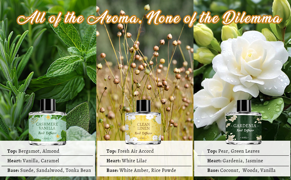 6 Pack Reed Diffuser