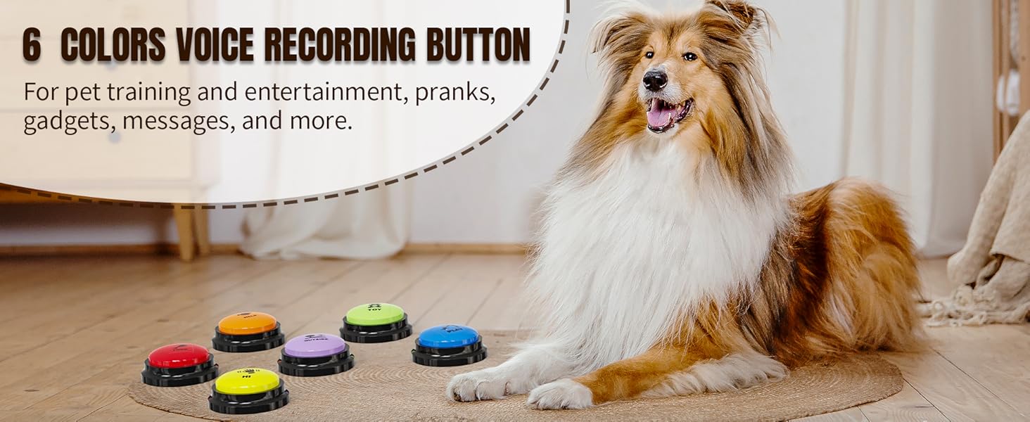 cat buttons for communication