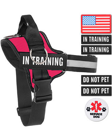 harness