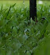 Xerceo 3 in 1 Soccer Training Aid, Inground Soccer Kick Touch Trainer, Hands Free Soccer Kick Tra...