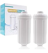 ShuRex Replacement PF-2 Fluoride Water Filter, Fluoride and Arsenic Reduction Element Filter, Com...
