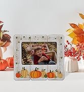 Neil Enterprises Inc. Fall Pumpkin 6