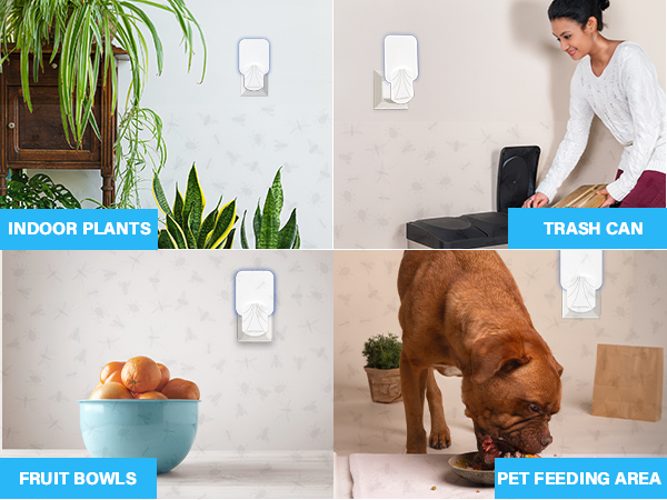 Fly Insect Trap Indoor with Night Light Plug in Bug Catcher, Pest Repeller Indoor 