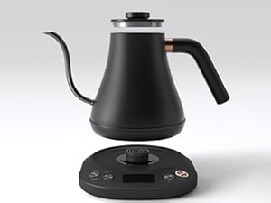 Electric Tea Kettle