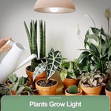 plant grow light