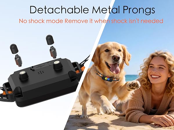 small dog shock collar with remote control