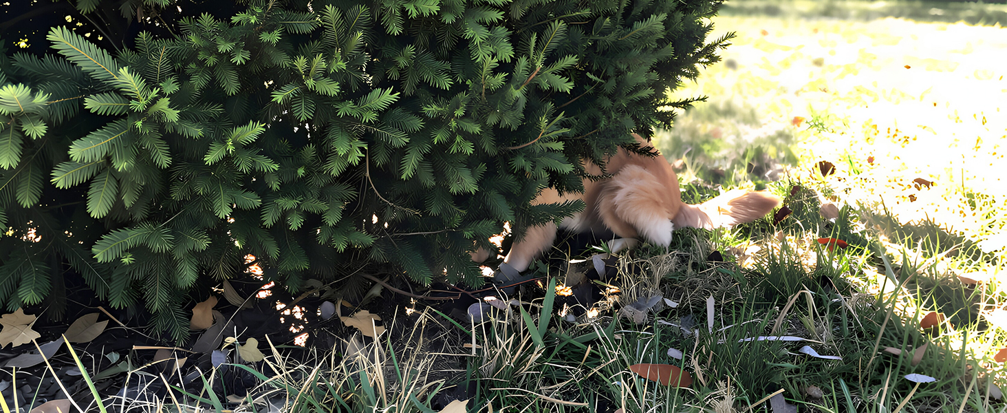 Key Finder 1 Transmitter 4 Receivers, 80dB+ Wireless Item Locator 164ft Range