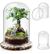 Mezchi Glass Cloche Dome with Air Hole, Plant Terrarium for Plants, 5.9 x 8.3 Inches Large Terrar...