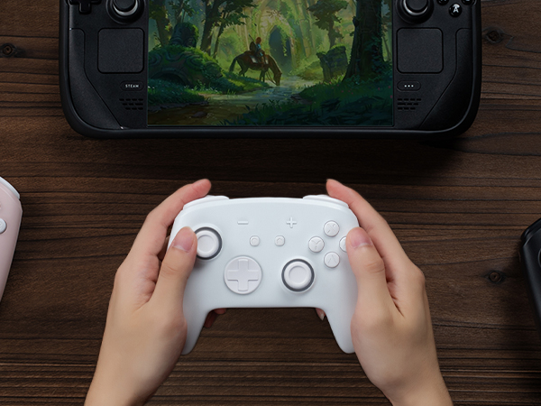 switch pro controller