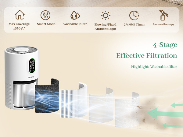 air purifier with washable filter