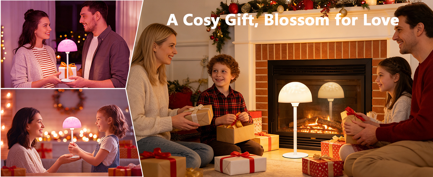 gift ideas