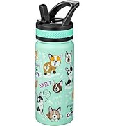 Fanhaw 18oz Insulated Water Bottle with Straw - Stainless Steel Double Wall Vacuum Cup, Leakproof...