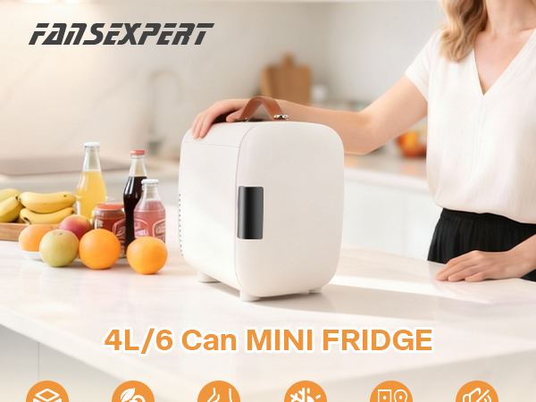Mini Fridge