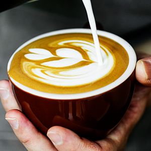 milk frother