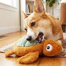 squeaky plush dog toys